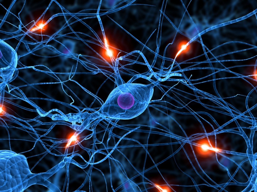teoría del aprendizaje neuroplasticidad